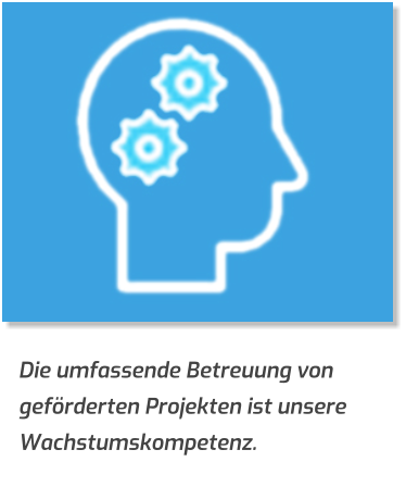 Die umfassende Betreuung von geförderten Projekten ist unsere Wachstumskompetenz.
